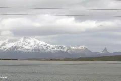 Nordland - Steigen - Sagfjorden - Forsbukta