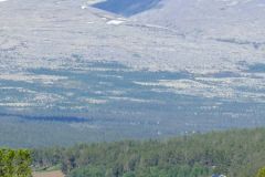 Innlandet - Stor-Elvdal - Sohlbergplassen