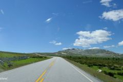 Innlandet - Stor-Elvdal - Venabygdsfjellet