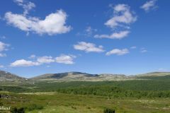 Innlandet - Stor-Elvdal - Venabygdsfjellet