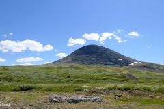 Innlandet - Stor-Elvdal - Venabygdsfjellet