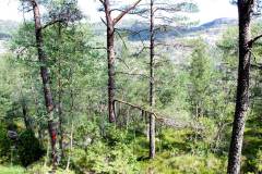 Rogaland - Strand - Lysefjorden Rundt - Botne til Ulvaskog og Preikestolhytta