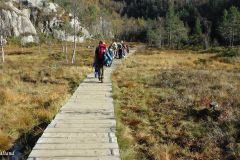 Rogaland - Forsand - Lysefjorden Rundt - Tur til Preikestolen - Krogebekkmyrane