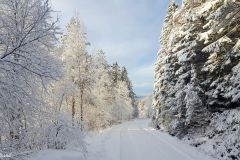 Rogaland - Strand - Moslivatn