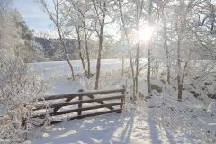 Rogaland - Strand - Mosli