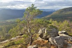 Rogaland - Strand - Mosli