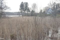 Rogaland - Strand - Tau - Krossvatnet