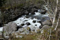 Rogaland - Strand - Jørpelandselva