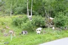 Møre og Romsdal - Stranda - Fv63 - Geiranger
