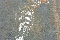 Rogaland - Stavanger - Street Art