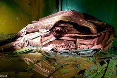 Rogaland - Stavanger - Street Art - Artist: Bordalo II