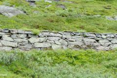 Vestland - Stryn - Gamle Strynefjellsveg - Fv258 - Videdalen
