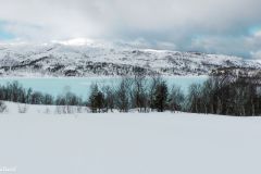 Rogaland - Suldal - Gullingen