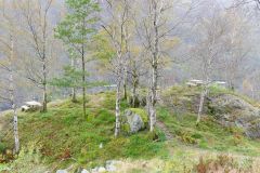 Rogaland - Suldal - Lovra rasteplass
