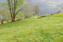 Rogaland - Suldal - Røynevarden