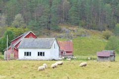 Rogaland - Suldal - Suldalsosen