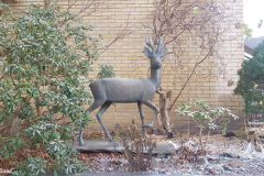 Sogn og Fjordane - Førde - Rutebilstasjonen - Skulptur - Rådyr (Skule Waksvik)