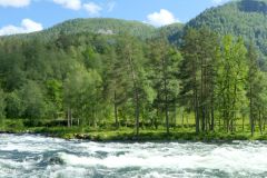 Vestland - Sunnfjord - Gaula