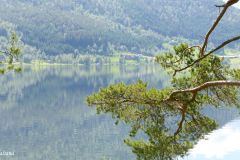 Vestland - Sunnfjord - Hestadfjorden