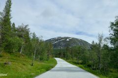 Vestland - Sunnfjord - Gaularfjellet - Fv13
