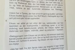 Vestland - Sunnfjord - Eikaasgalleriet