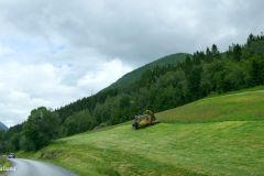 Vestland - Sunnfjord - Sørsiden av Jølstravatnet