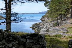 Vestland - Sveio - Turvei til Leirvågen - Martinshamn