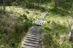 Vestland - Sveio - Turvei til Leirvågen