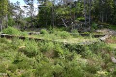 Vestland - Sveio - Turvei til Leirvågen - Kolerakirkegården ved havet
