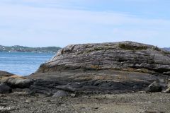 Vestland - Sveio - Turvei til Leirvågen - Leirvågen