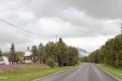 Troms og Finnmark - Tana - Fv98