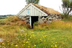 Rogaland - Time - Træe