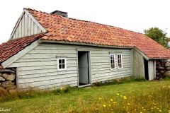 Rogaland - Time - Træe