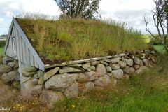 Rogaland - Time - Træe