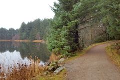 Rogaland - Time - Njåskogen