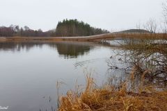 Rogaland - Time - Njåskogen