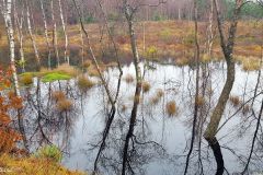 Rogaland - Time - Njåskogen