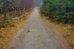 Rogaland - Time - Njåskogen
