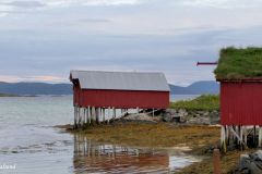 Troms og Finnmark - Tromsø - Sommarøy