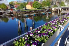 Trøndelag - Trondheim - Blomsterbrua