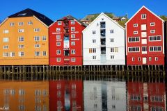 Trøndelag - Trondheim - Nidelva