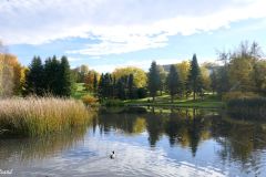 Trøndelag - Trondheim - Ringve