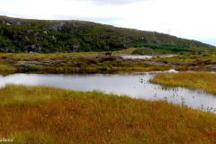 Rogaland - Tysvær - Sandvikfjellet - Sandvikvatnet