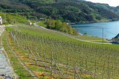 Hordaland - Ullensvang - Alsåker
