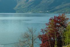 Hordaland - Ullensvang - Alsåker