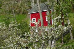 Hordaland - Ullensvang - Utne