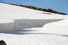 Hordaland - Odda - Sommerveien over Haukelifjell