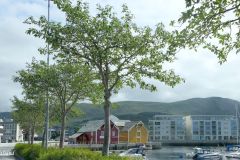 Møre og Romsdal - Ulstein - Ulsteinvik