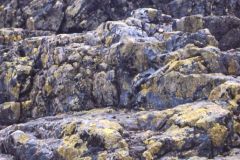 Oppland - Vågå - Jotunheimen - Besseggen - Nærbilde av steinene oppover
