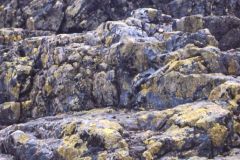 Innlandet - Vågå - Jotunheimen - Besseggen - Nærbilde av steinene oppover